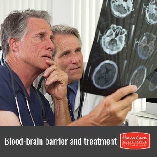 How Loosening the Blood-Brain Barrier Allows for Effective Treatment in Dallas, TX