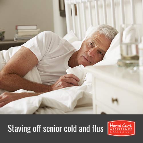 How to Protect Seniors from Cold and Flu in Dallas, TX