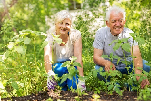 How to Keep a Senior with Alzheimer’s Occupied in Dallas, TX